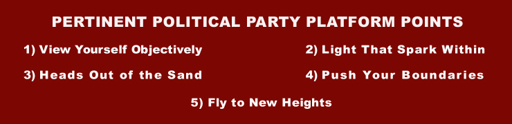 Ostynn For America - IndieGoGo Campaign